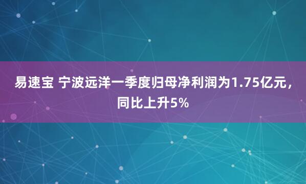 易速宝 宁波远洋一季度归母净利润为1.75亿元，同比上升5%
