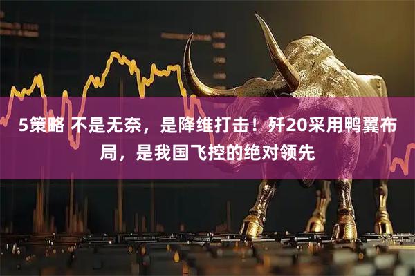 5策略 不是无奈，是降维打击！歼20采用鸭翼布局，是我国飞控的绝对领先