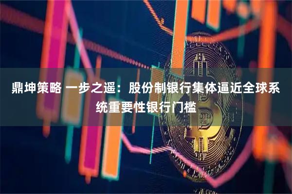 鼎坤策略 一步之遥:股份制银行集体逼近全球系统重要性银行门槛